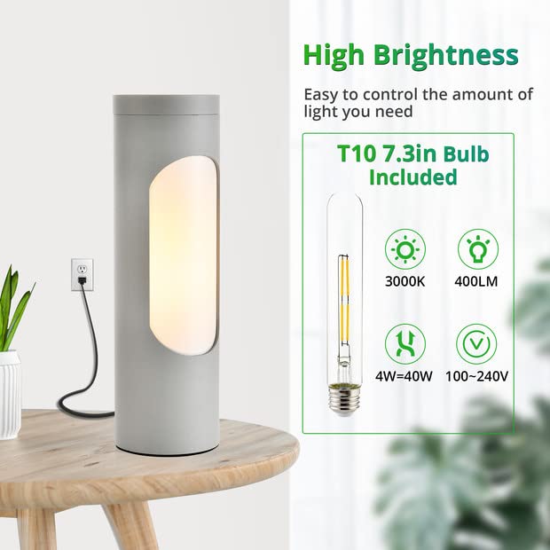 LEDIARY Kosher Lamp, Silver Metal Table Lamp, 3.2in ×3.2in ×10.5in , T10 Bulb Included, 400LM, 3000K