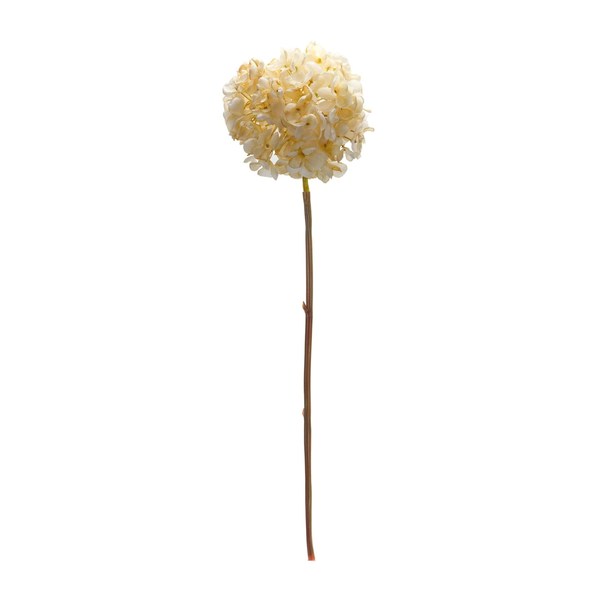 Melrose Set of 6 Polyester Hydrangea Stem with Cream Finish 85808DS
