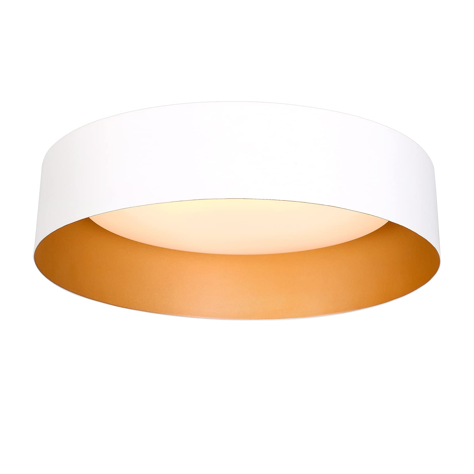 Bargeni LED Ceiling Light Fixture,12.5 inch Flush Mount Light Fixture,Matte White with Gold Inside,Dimmable 3000K/Warm White/18W(100w Equiv.),Outdoor Lighting Fixtures Ceiling for Bedroom and Hallway
