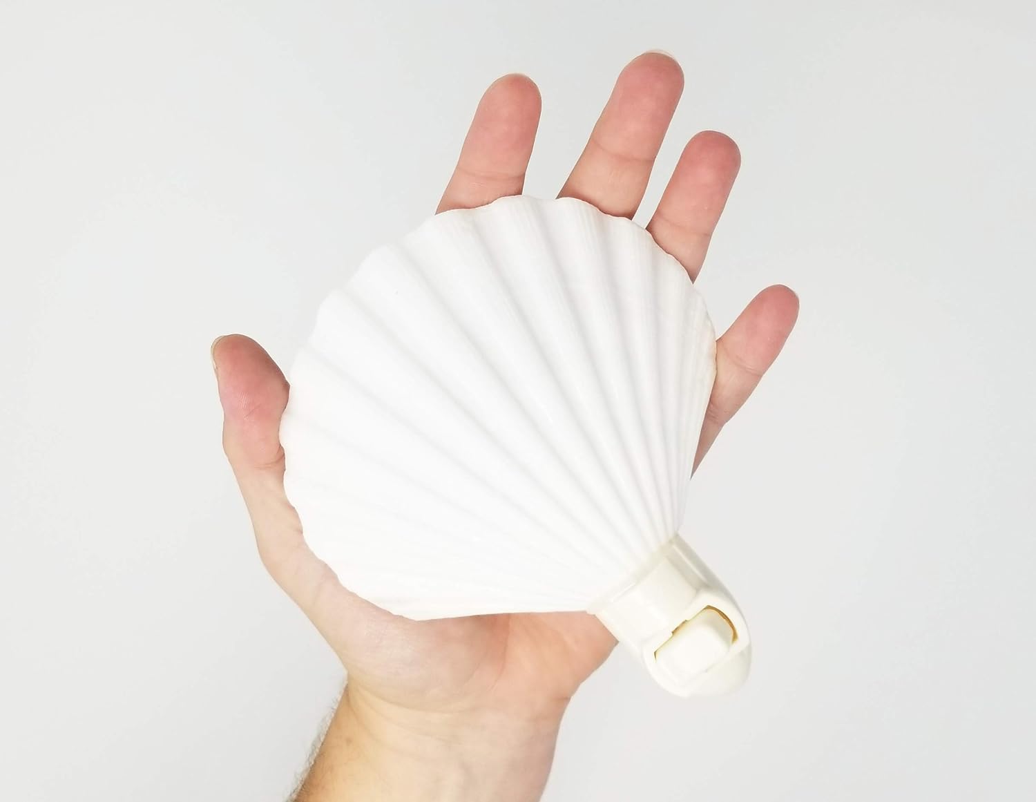 Tumbler Home Real Sea Shell Beach Night Light Real, Natural, Perfect For Beach Home Decor