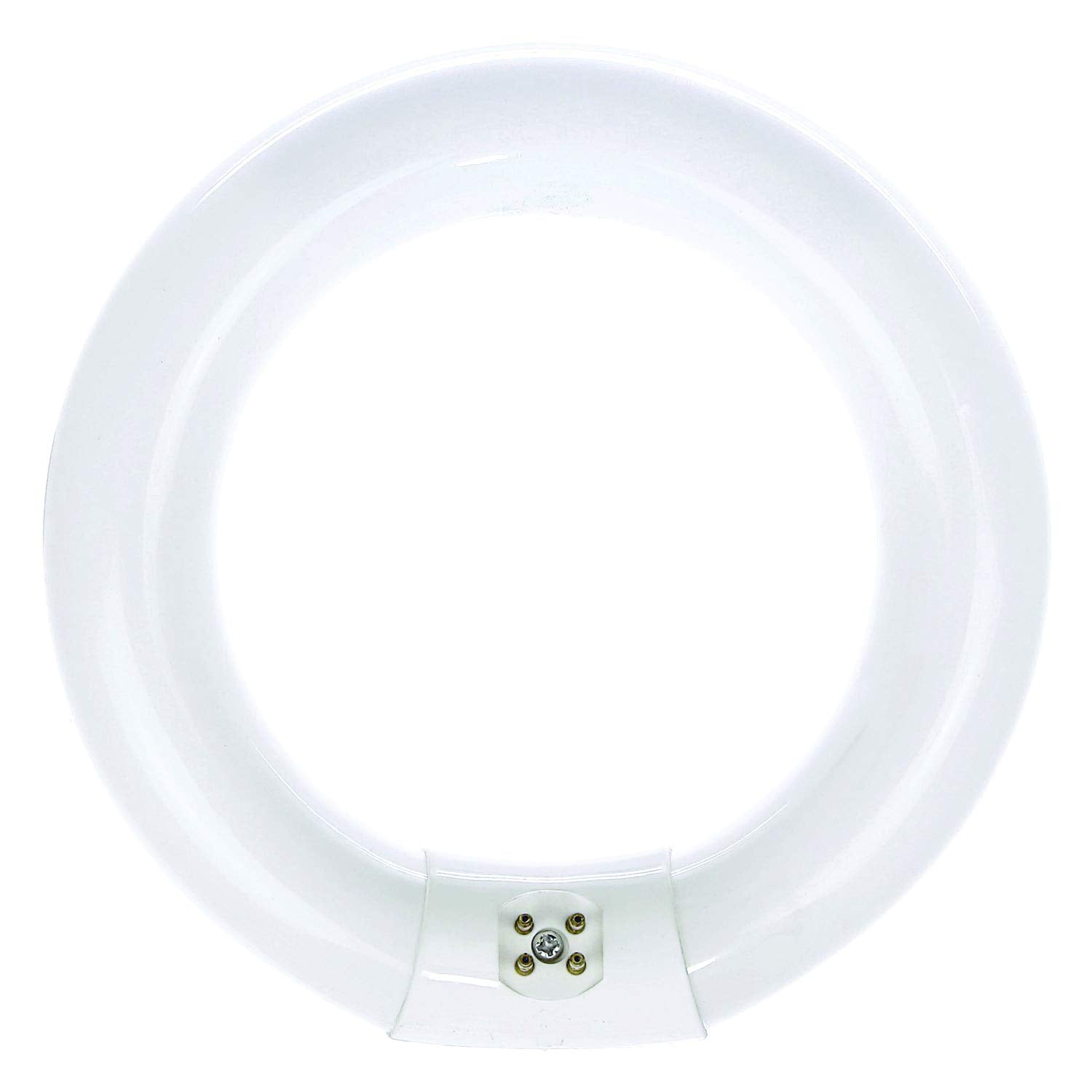Luxrite LR20570 FC8T9/CW 22-Watt 8 Inch T9 Fluorescent Circular Light Bulb, Cool White 4100K, 1180 Lumens, G10Q 4-Pin Base