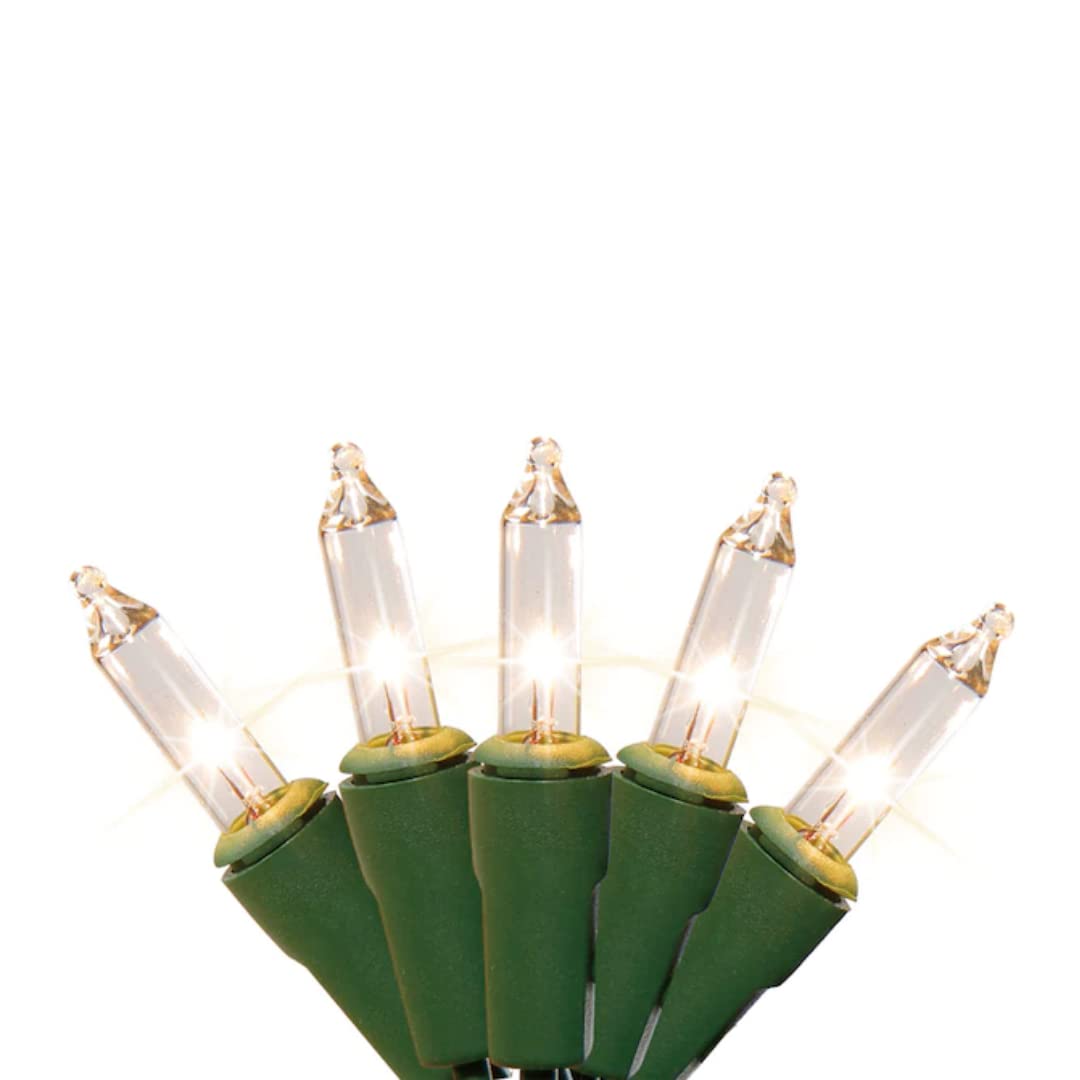 Generic Holiday Living Mini Lights - 100 ct. Clear Bulbs, 21.9 ft. Length, Multicolor