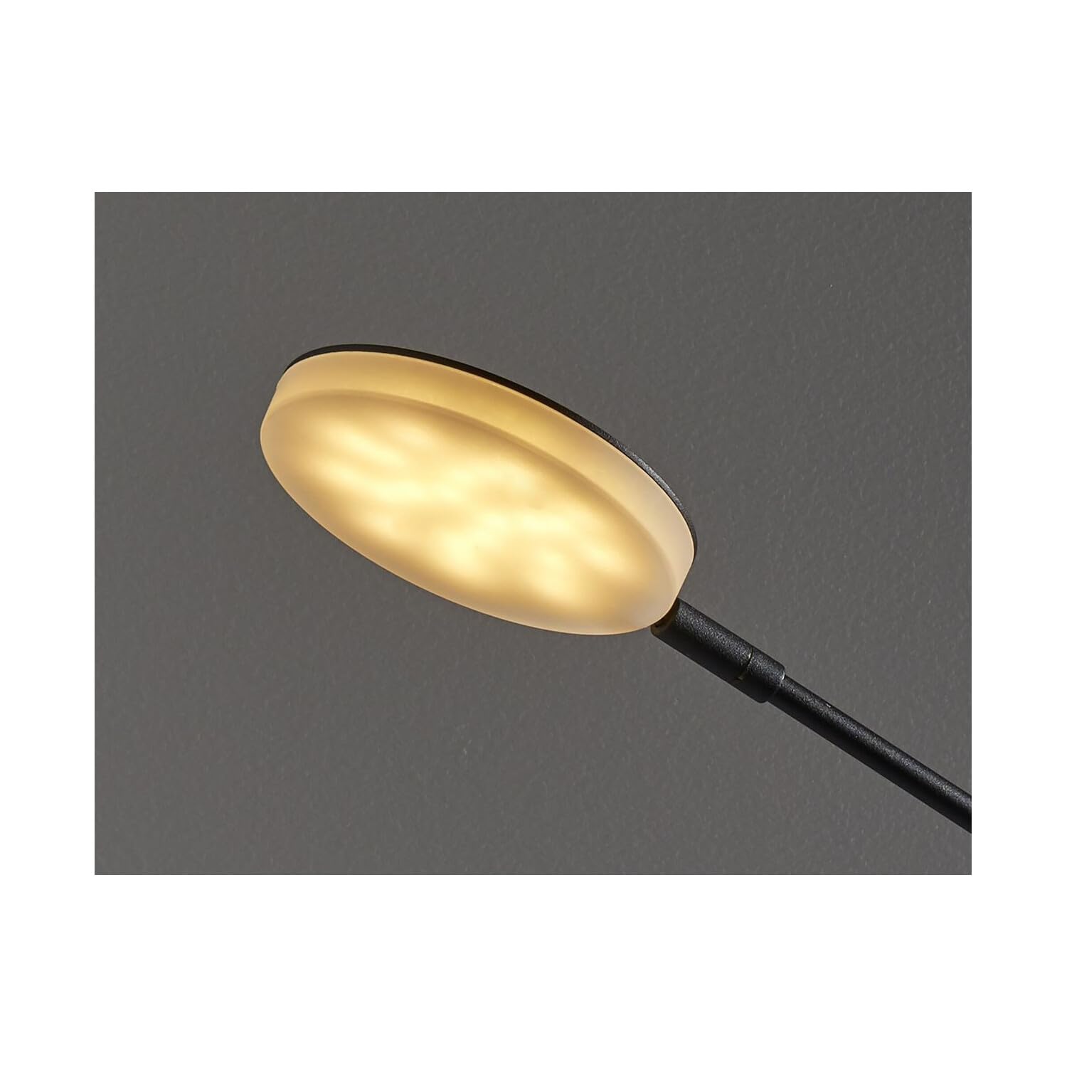 Homeroots Three Color Adjustable Floor Lamp Black Metal Saucer Led