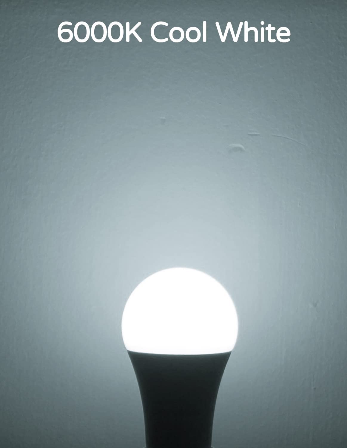 Torkase 13W Dusk to Dawn LED Light Bulbs, 1100lm, 6000K Daylight, E26 A19, 2-Pack, Automatic Sensor, Model Q