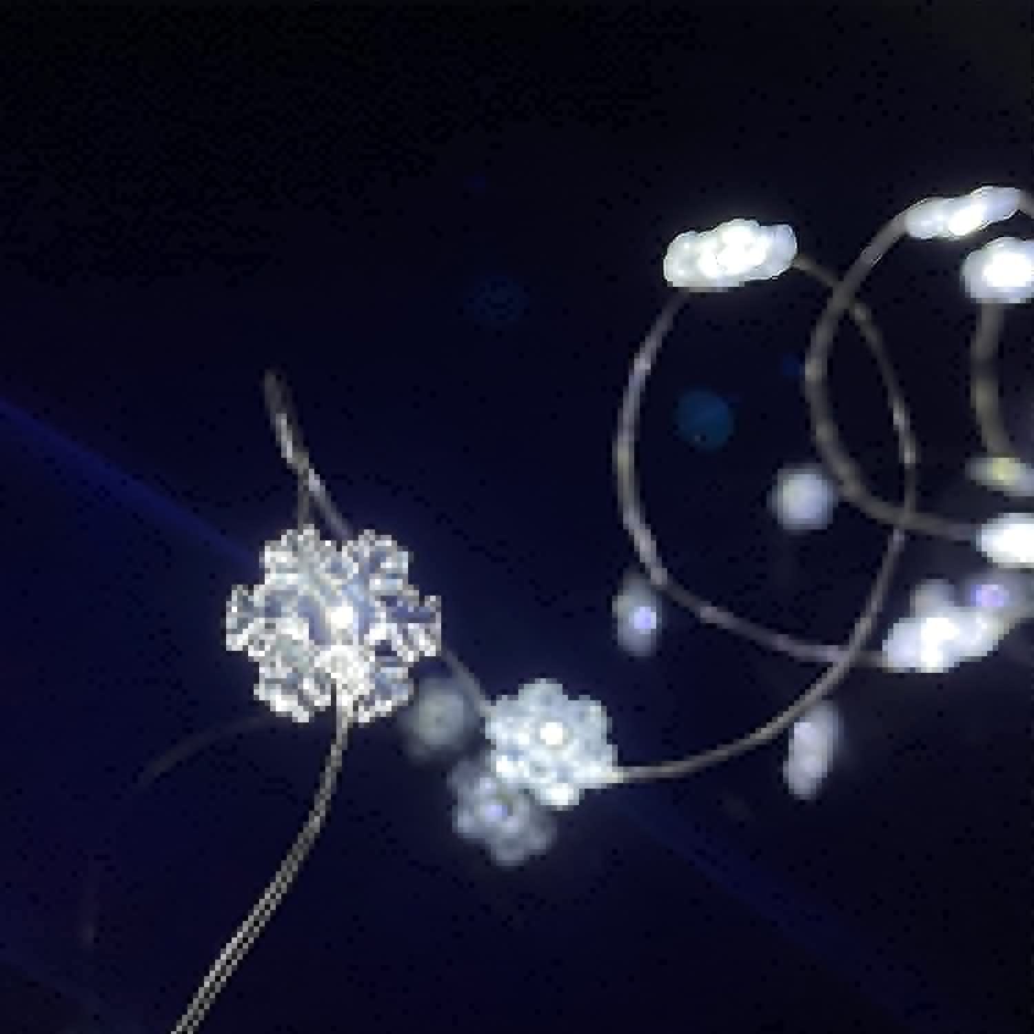 2 Pack Battery Operated Mini Snowflake Led Fairy Lights with Timer 6 Hours on/18 Hours Off for Wedding Party Decoration,30 Count