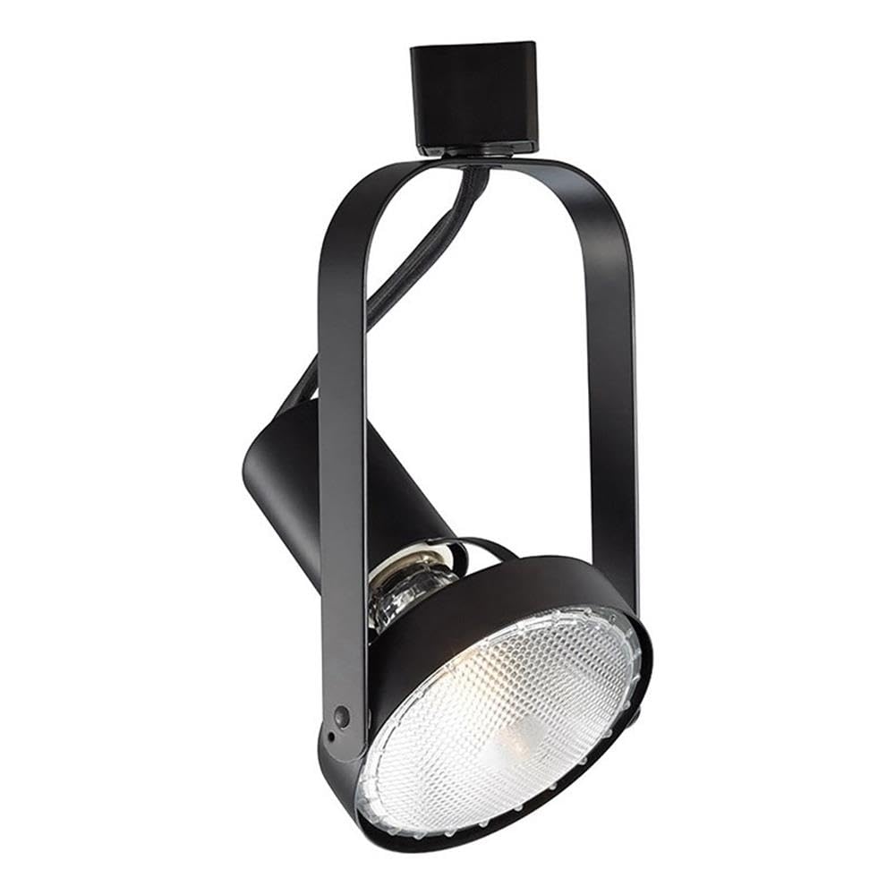 Wac Lighting, Tk-764 Line Voltage Track Head In Black For H Track