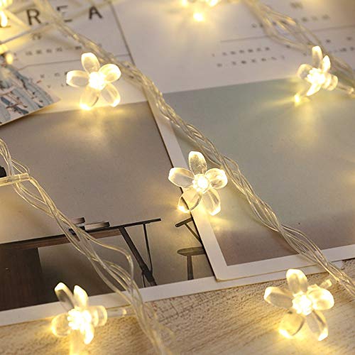 NOVALUC 16 Led Blossom Flower Fairy String Lights, 3 Meters Led Christmas Lights For Diwali Home Decoration (Warm White)