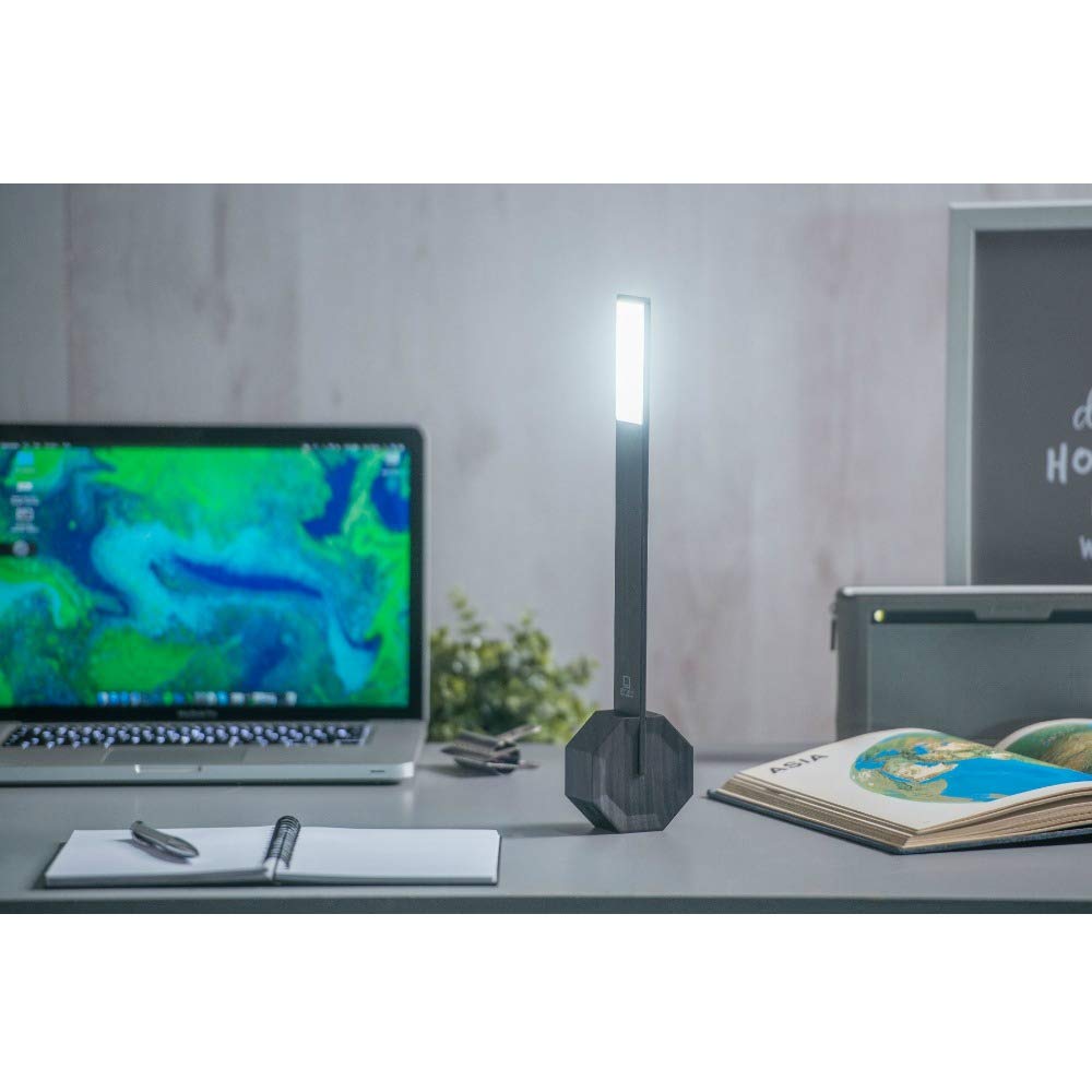 Gingko Octagon One Desk Lamp - Black, Wood, One Size, Model GK11B10