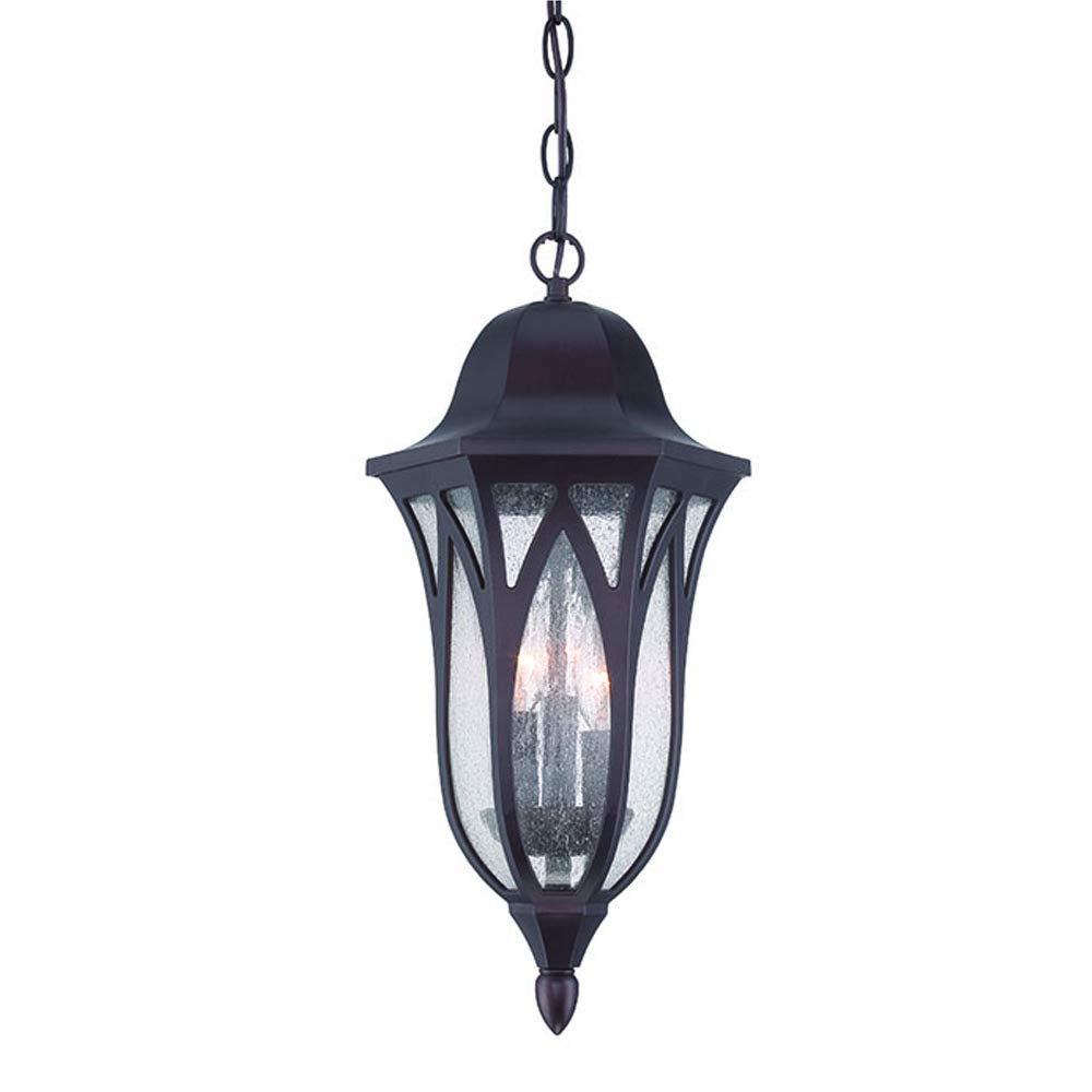 Acclaim 3-Light Outdoor Hanging Lantern, Architectural Bronze, 9 x 19.5 inches, Glass