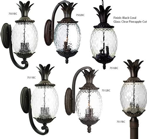 Shoppers Lighting Hanging Lantern - Acclaim Lighting 7516BC, Large Dimmable Pineapple, Durable Anti-Rust Cast Aluminum, Black Coral