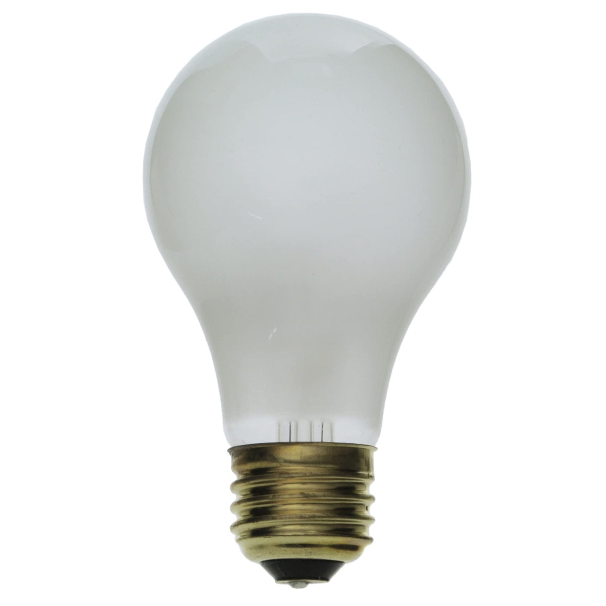 Wagner Lighting 100WRS Standard Multi-Purpose Light Bulb Box of 6