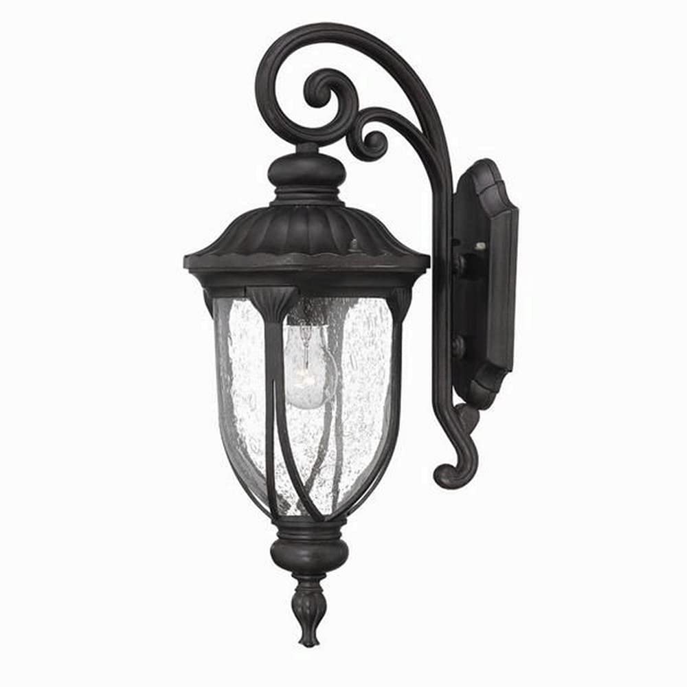 Acclaim Lighting 1-Light Outdoor Wall Mount Fixture, Black Coral, Glass, 9 X 22.5 Inches