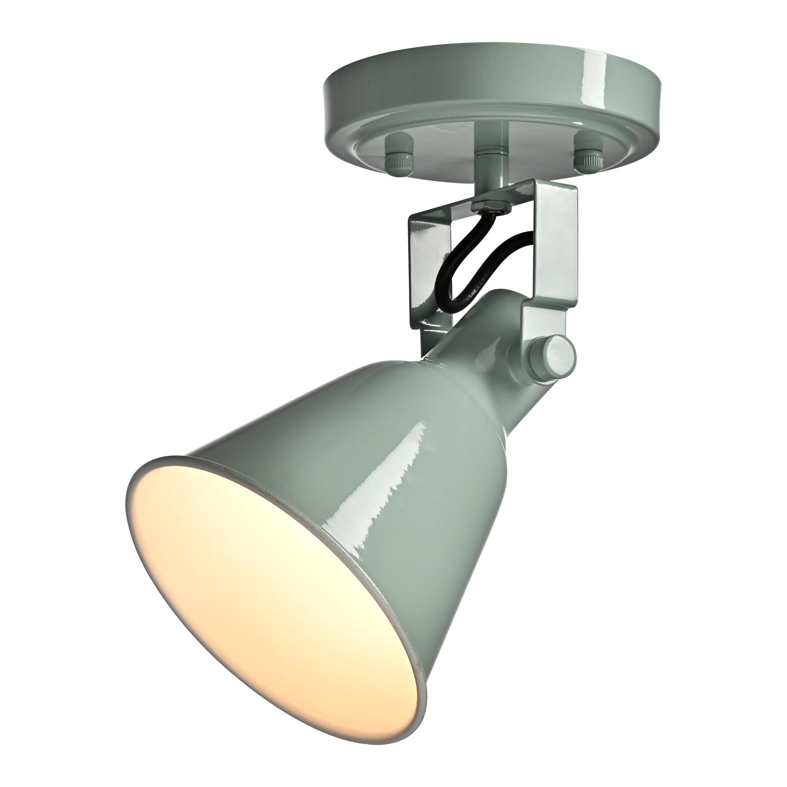 DIRYZON 1-Light Adjustable Sea Blue Green Spotlight, Semi Flush Mount Ceiling Light Fixture Track Light for Bedroom, Kitchen, Ha
