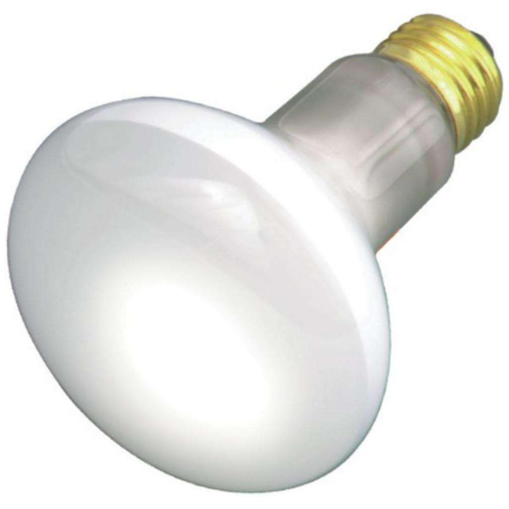 Satco S3229 Medium Light Bulb In White Finish, 4.00 Inches, 1 Count (Pack Of 1), Frosted