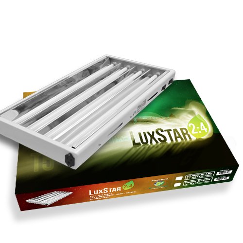 LuxStar T5 2' x 4 Bulb Fixture
