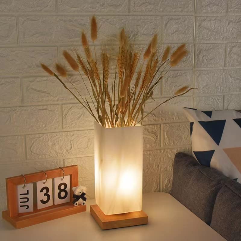 Floresita Vase Lamp Table Lamp Dimmable 3 Colors Vase Table Lamp Usb Charge Bedside Lamp Frosted Glass Shade With Wood Base