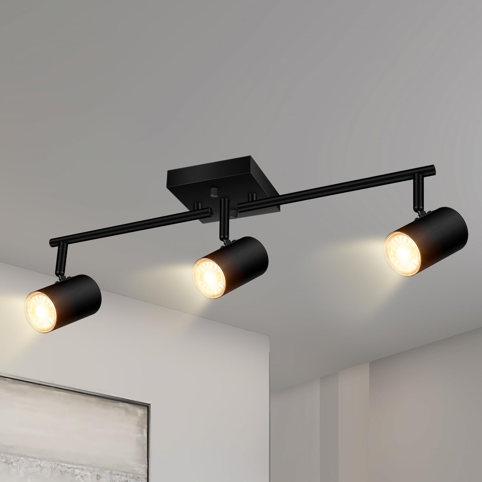 BoostArea 3 Way Track Lighting Kit, LED Ceiling Fixtures, Metal, Black, Model C0531