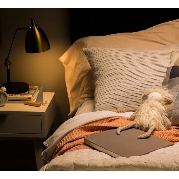 Ge Led 8W (60W Equivalent) Soft White General Purpose A19 Light Bulbs, Medium Base, Frosted, 13 Year Life, 12Pk