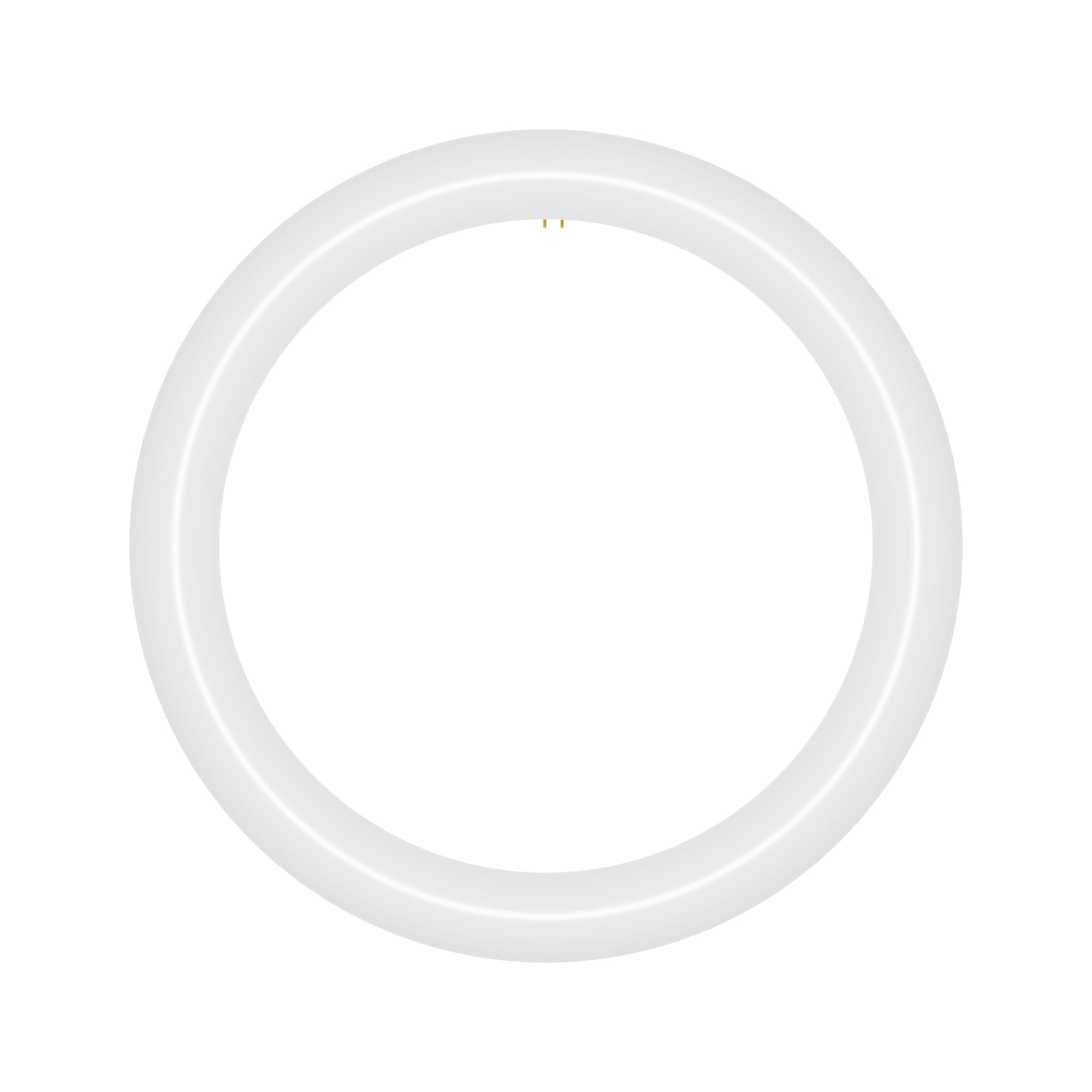 NYLL 12 inch T9 Circline Type A Plug & Play LED Lamp, Cool White (4200K) Direct Replacement for 32W FC12T9/CW, FCL32W (Without R