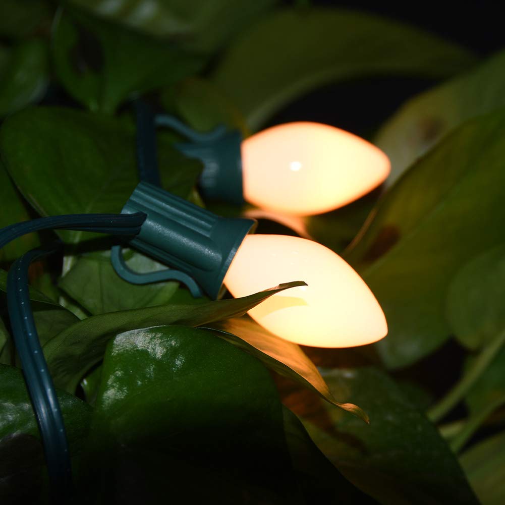 GOOTHY Indoor & Outdoor String Light Replacement Bulbs, 5 Watt, White, C7 Ceramic, 1 Count