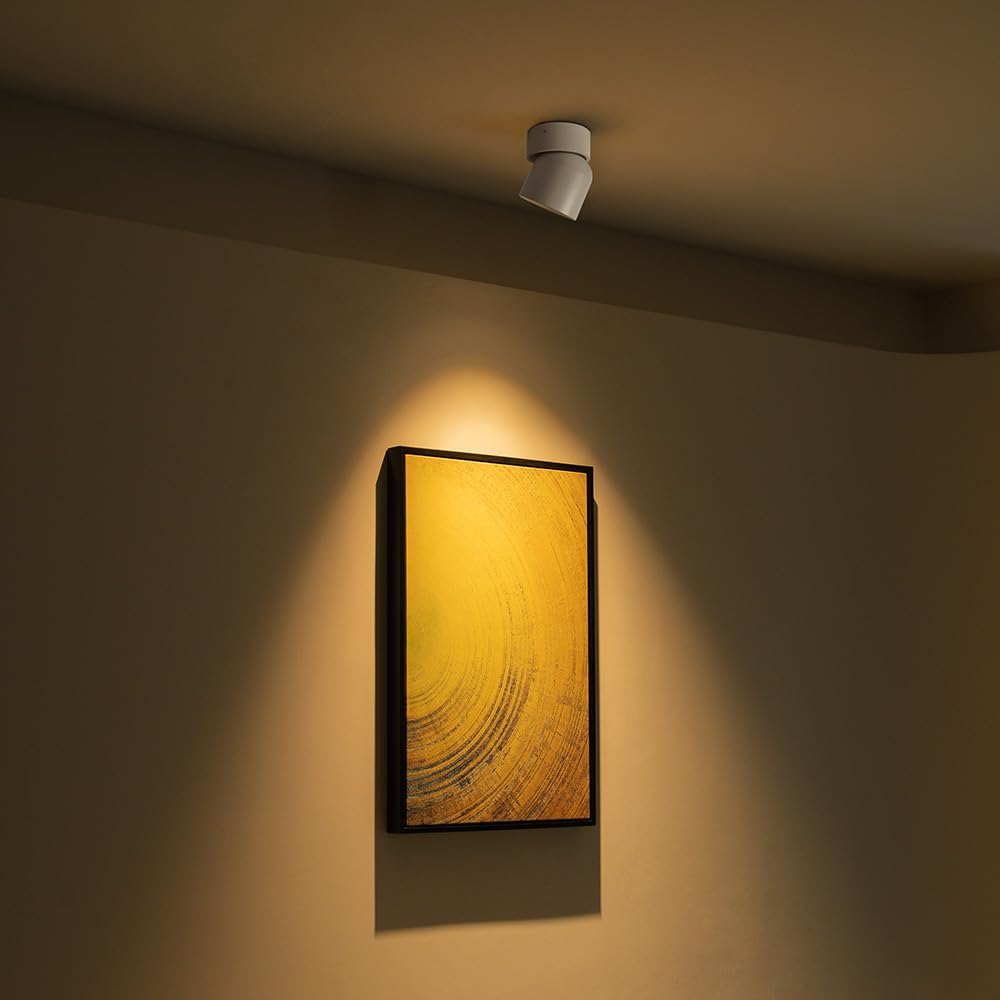 Aisilan Led Ceiling Spotlight Indoor Dimmable 2 Pack, 7W White Directional Accent Light, Adjustable Modern Wall Spot Light Lamp, Warm White Cri 97, For Painting Artwork Living Room Bedroom Lighting