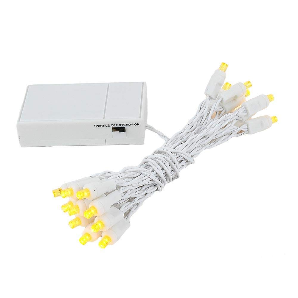 Novelty Lights  Inc. BAT20 LED Battery Operated Christmas Mini Light String Set  Green Wire  20 Light  8 Long