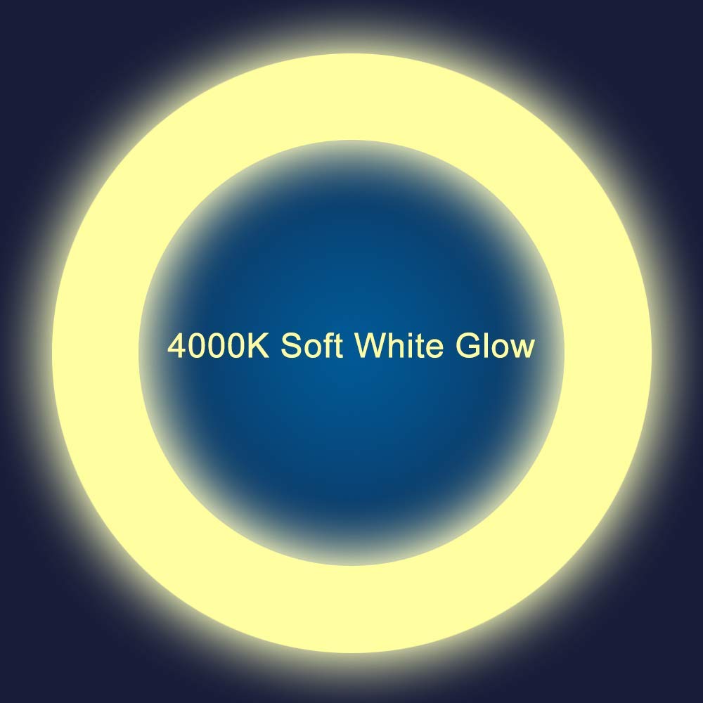 Iledlight T9 Led Circline Light Bulb 8 Inch 1600Lm 13W 4000K Soft White Ballast