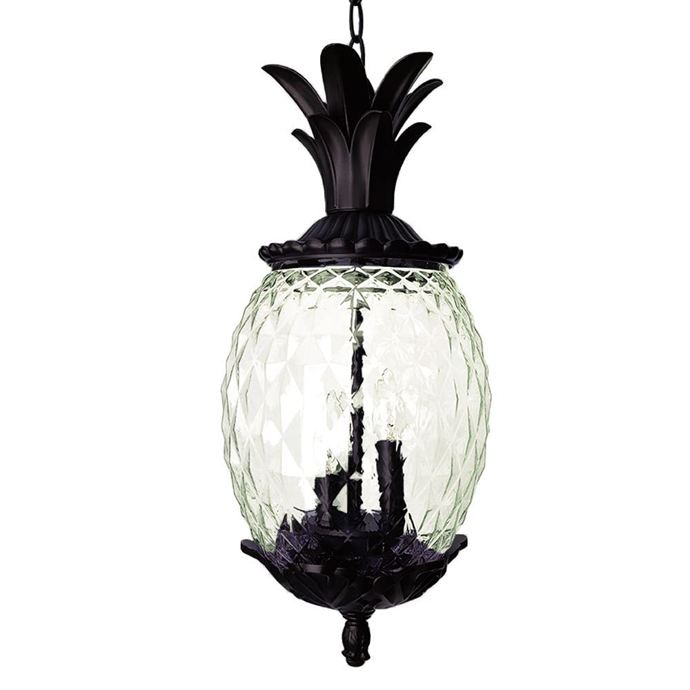 Acclaim Lighting | 7516BC | Lanai Collection | Large Outdoor Hanging Pineapple Dimmable Lantern | Durable Anti-Rust Cast Aluminu