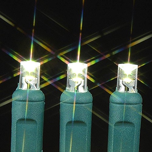 Novelty Lights, Inc. Bat20 Led Battery Operated Christmas Mini Light String Set, Warm White, Green Wire, 20 Light, 8' Long