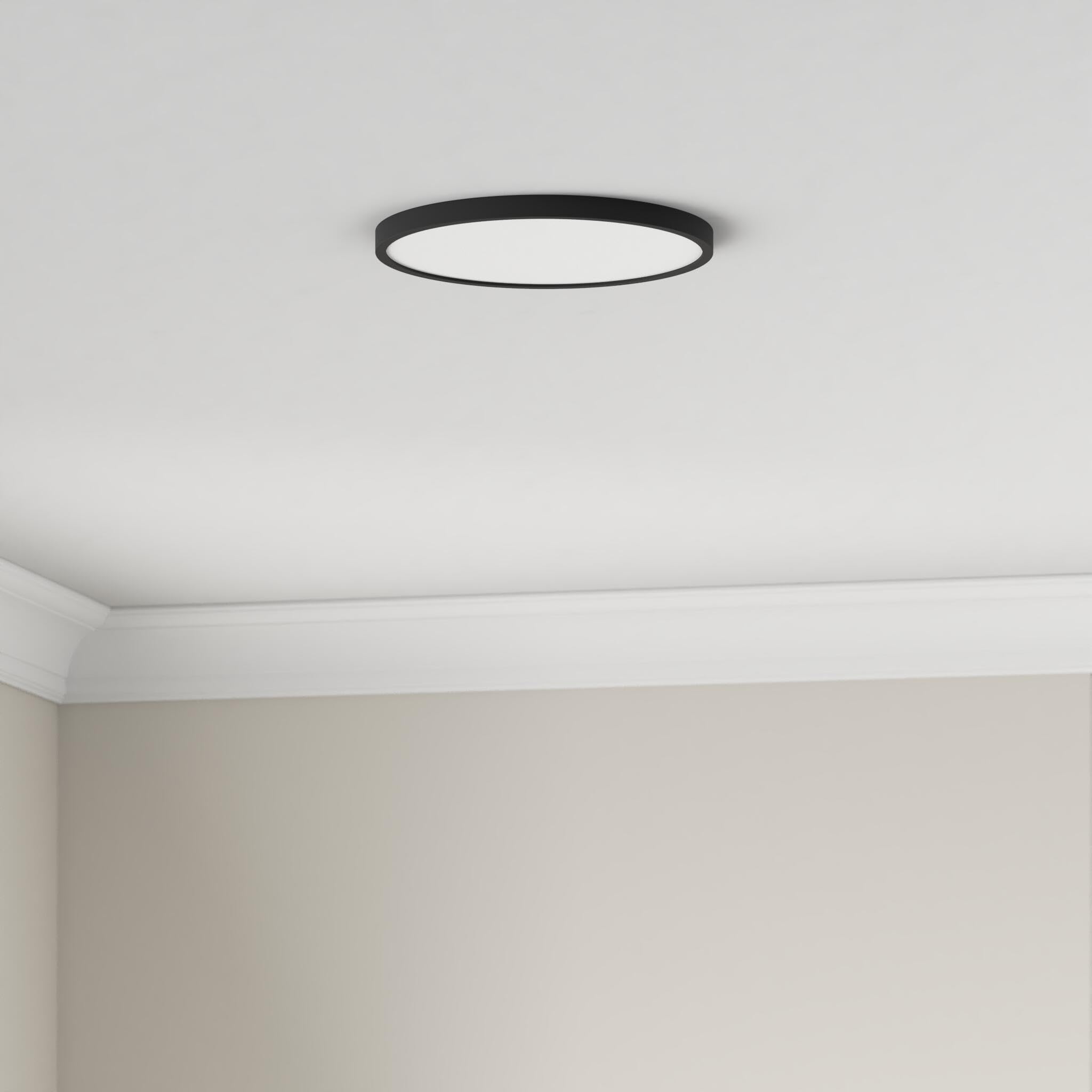 Taloya 2 Pack Of Black 10 Inch Led Ceiling Light Fixture Flush Mount For Closet Porch, 5 Cct Options, Energy Efficient Ceiling F