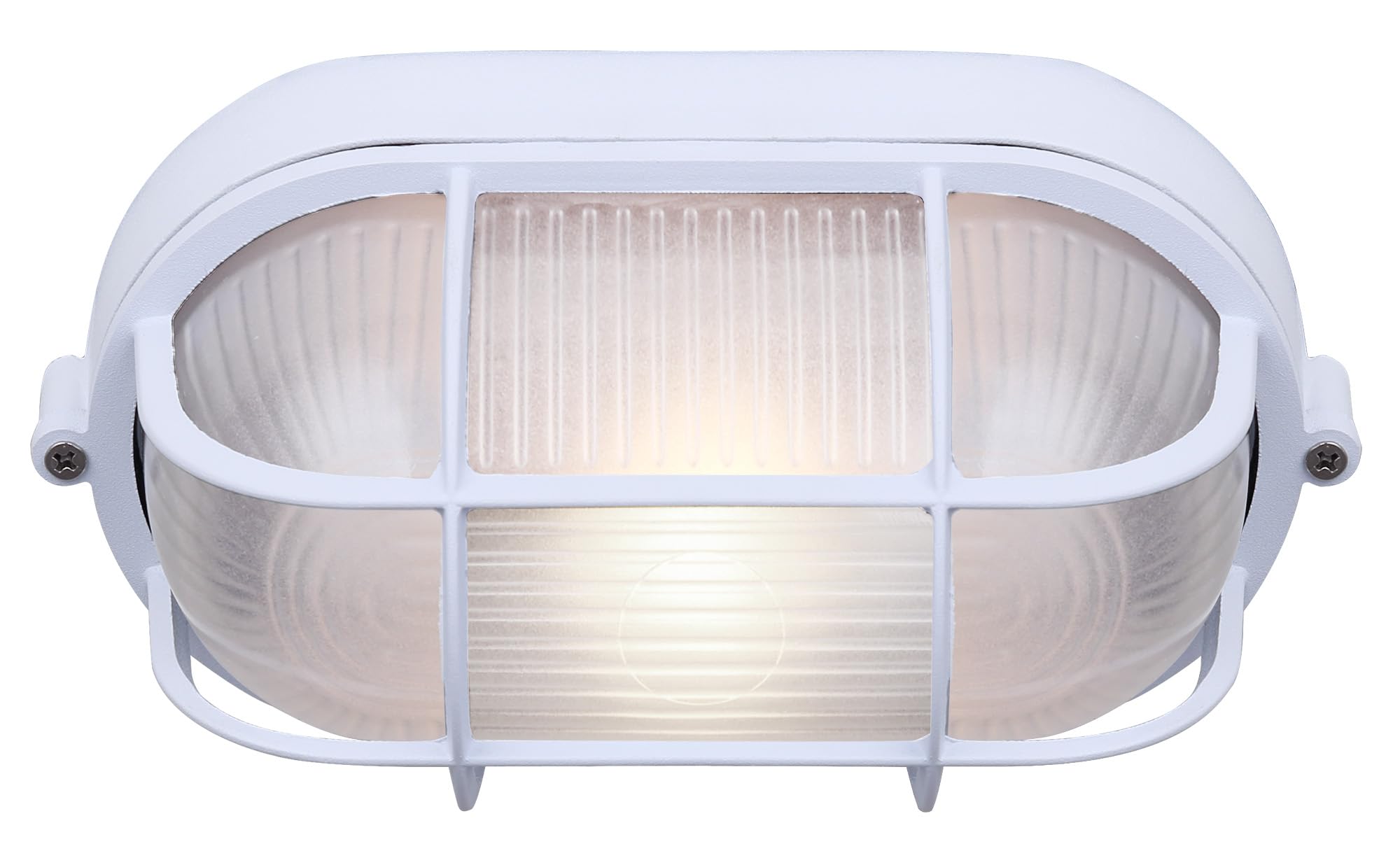 Canarm IOL16WH Outdoor Lantern, 1 Light, White Finish, Glass, Size L