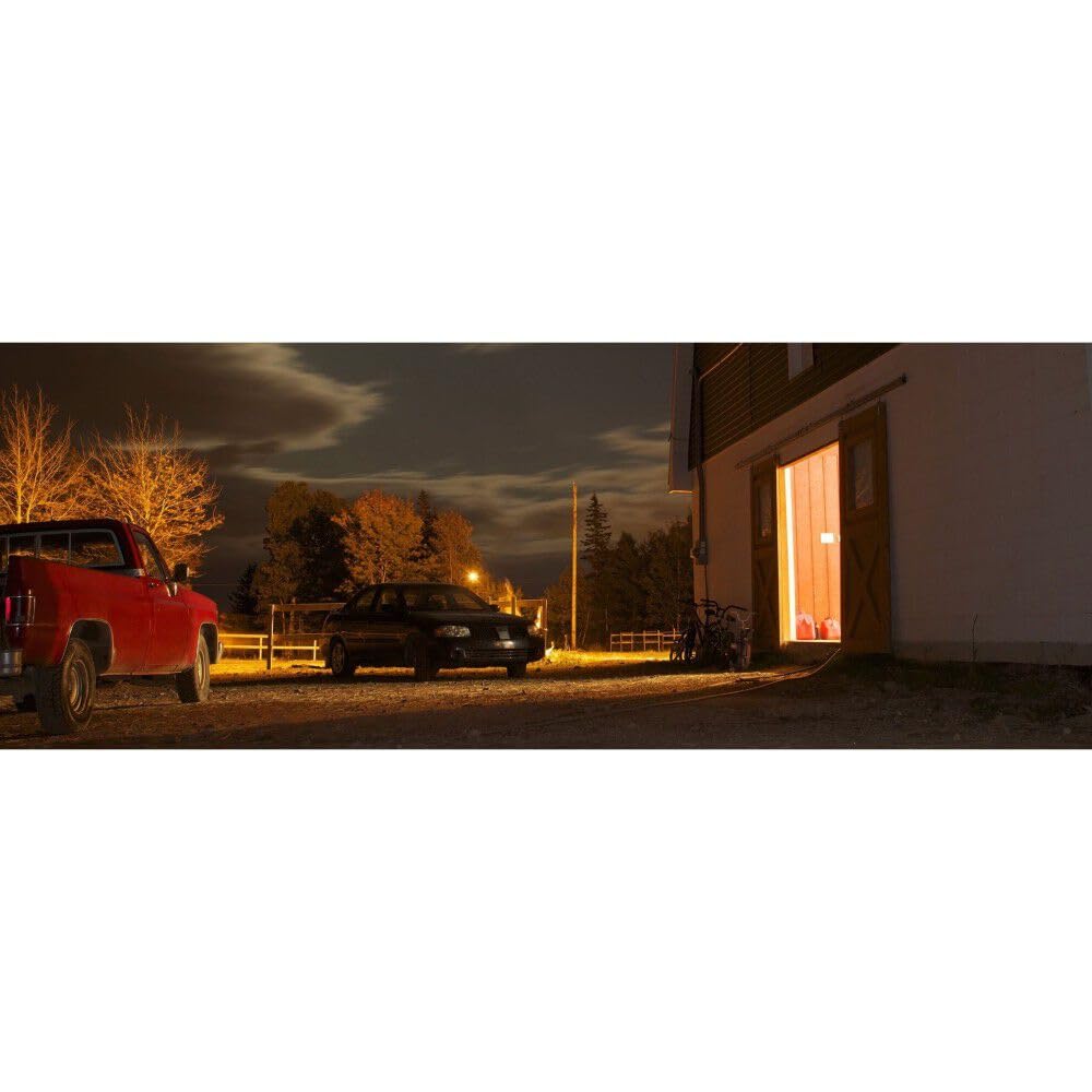 Feit Electric LED E26 Bulb, 500W Equivalent, 10000 Lumens, Model C10000/5K/LEDG2, Copper