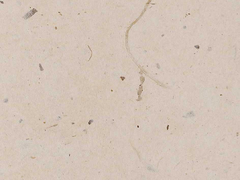 Cal Lighting Sh-8113-17F Transitional Shade In Light Finish, 17.00 Inches