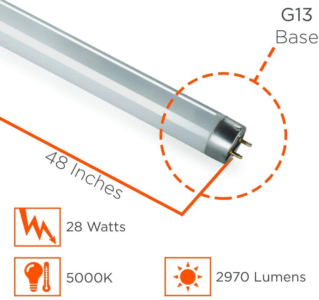 Goodbulb F28T8 28W 48 Inch T8 Fluorescent Light Bulb 5000K Daylight White Color Medium Bi-Pin Base 2970 Lumens 86 Cri 36000 Life Hours Car Dealership Lighting 30 Bulbs Pack