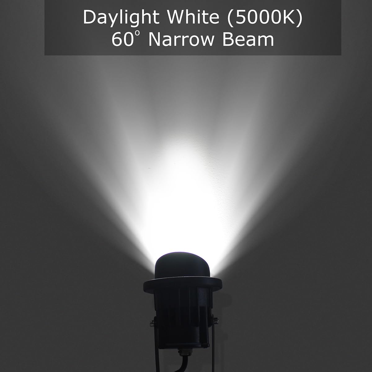 J.LUMI GBS9809 LED Landscape Spotlight, 9W 5000K Daylight, Metal Ground Stake, Black, Outdoor Lighting, 1 Pack