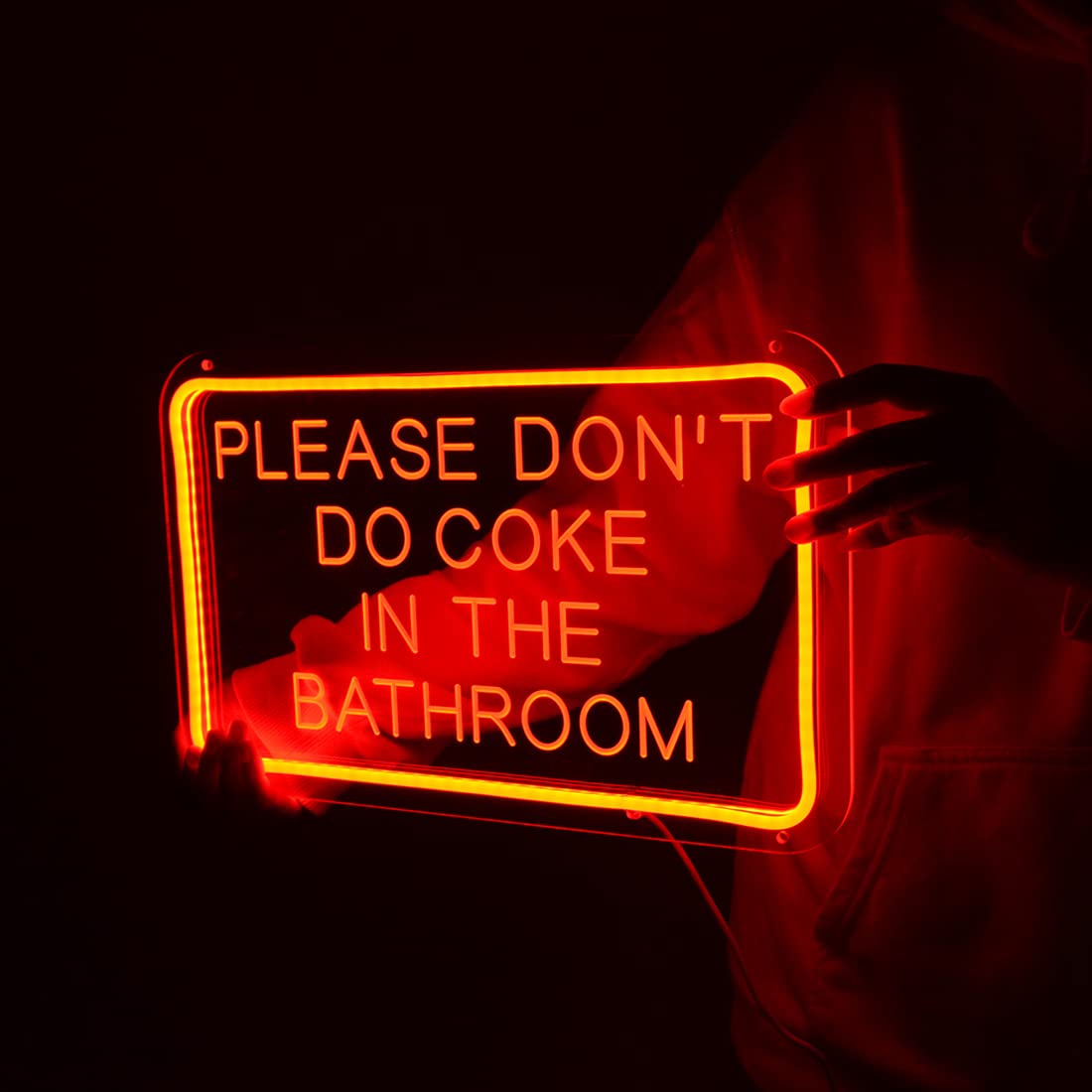 Planzo Red LED Neon Sign, USB Powered, 15.75in x 9.84in, Indoor Wall Decor, Model PL5VPleasedontRed