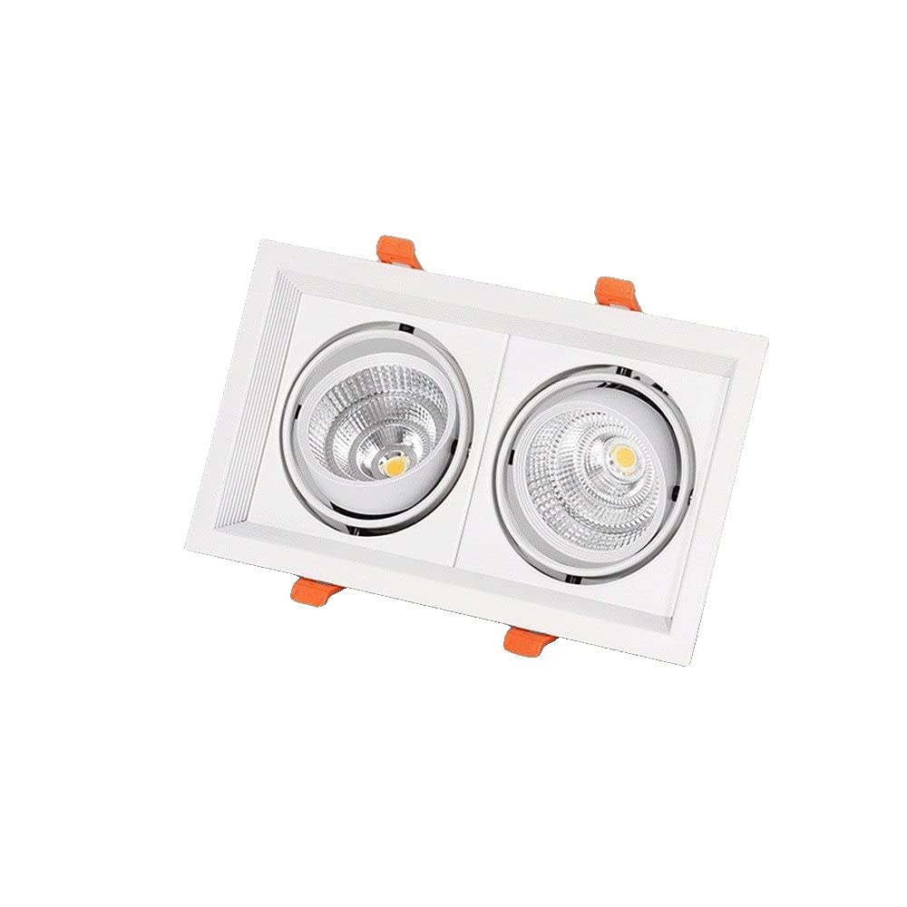 OZZKI Recessed Double Head Super Bright 30W LED Downlight Embedded Ceiling Lighting Fixture for Shopping Mall Clothing Store Res