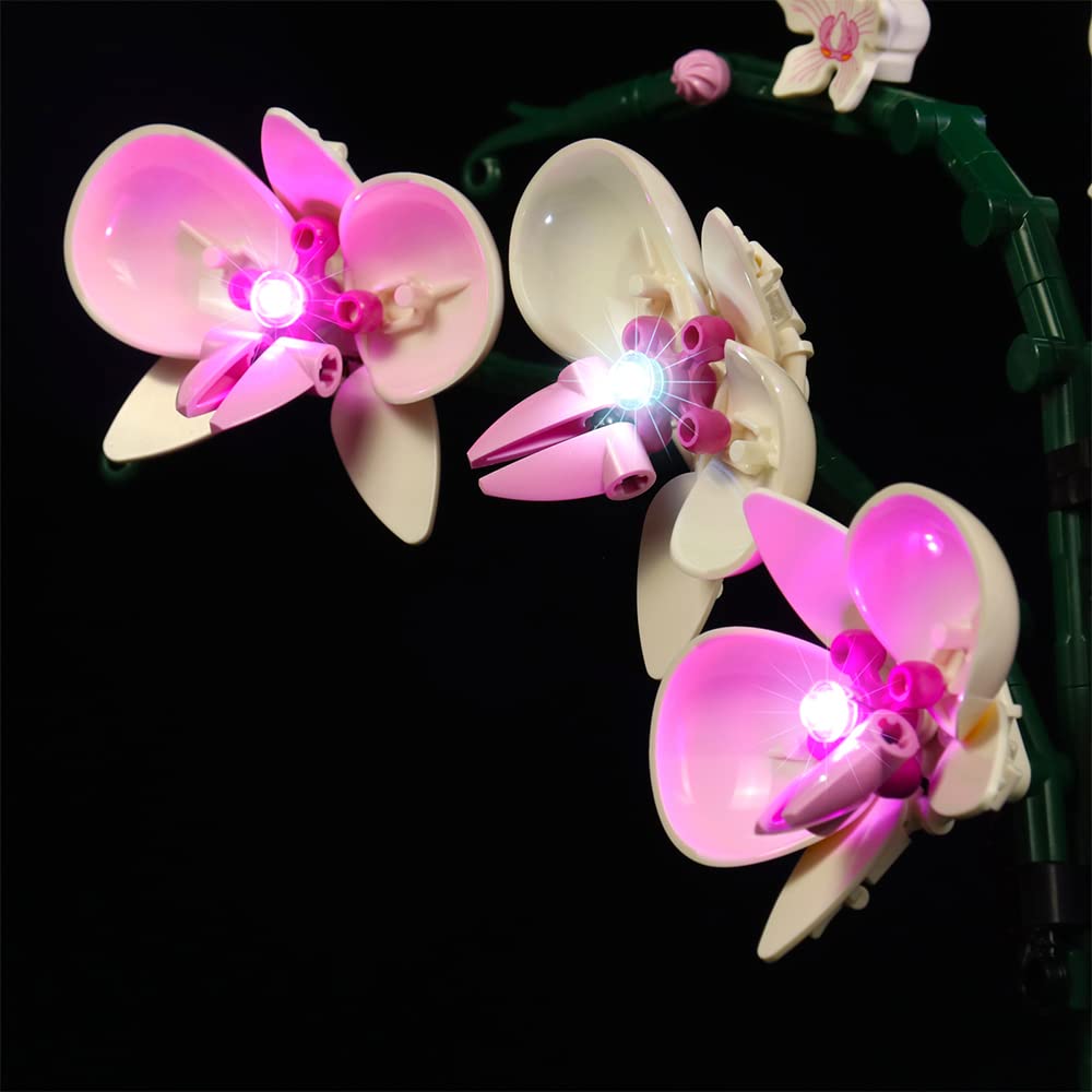 Led Light Kit For Lego Orchid 10311 Plant Decor Building Set; Decoration Lights Build A Succulents Display Piece For The Home Or