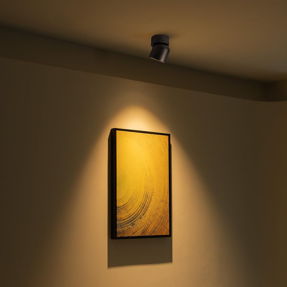 Aisilan Led Indoor Black Ceiling Spot Light 7W Surface Mounted Light Fixture With 360° Pivoting Spotlight, Dimmable Warm White 3000K Cri 97+ For Living Room Bedroom