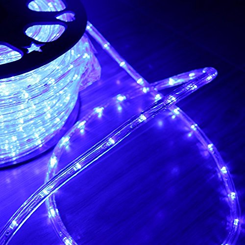 Huizhen Indoor Outdoor Rope Lights,110V 100Ft Blue Connectable Led Rope Lights Waterproof Kit For Deck,Pool,Landscape,Background,Christmas,Trees,Bridges,Eaves Decorative With Ul Certified (Blue)