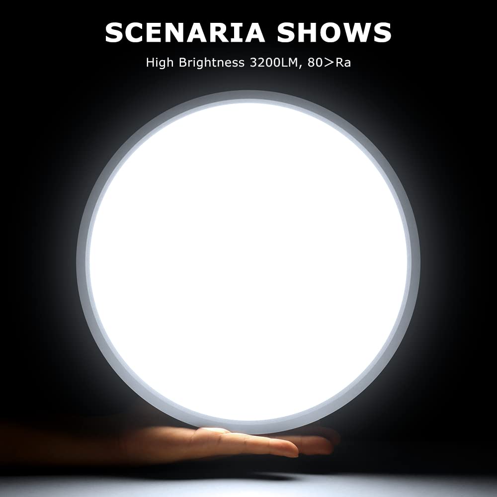 Ledlightsworld 12 Led Ceiling Light Flush Mount, 24W Cold White, 3200Lm Slim Lighting For Bedroom, Kitchen, Living Room, Stairwell