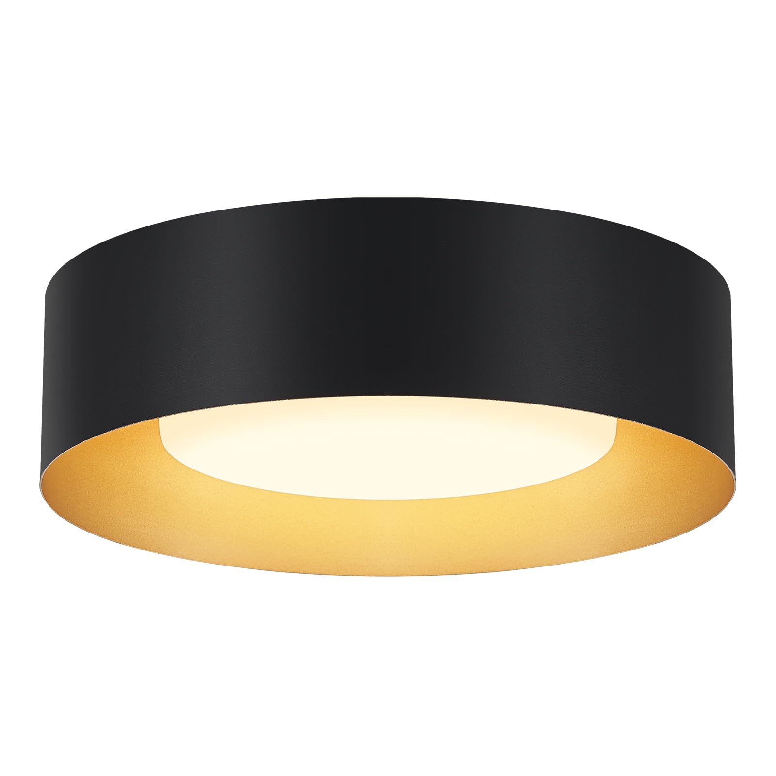 Goomavi Modern Flush Mount Ceiling Lights,Minimalist 12.5IN Round Close to Ceiling Light Fixture,Black and Gold Metal Ceiling Li