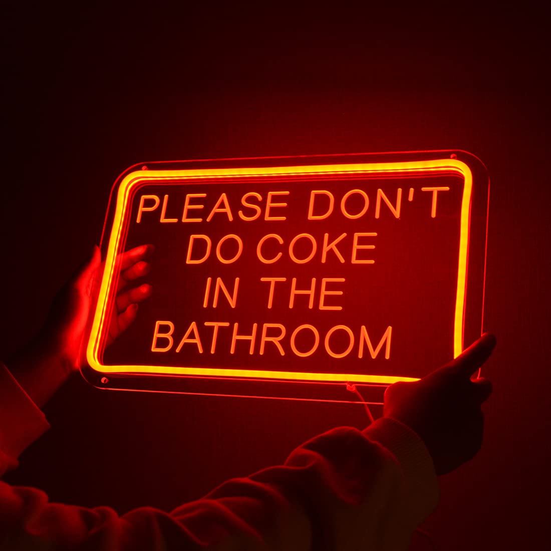 Planzo Red LED Neon Sign, USB Powered, 15.75in x 9.84in, Indoor Wall Decor, Model PL5VPleasedontRed