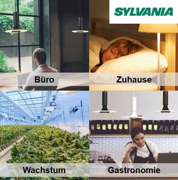 Sylvania T9 Circular Fluorescent Tubes 40W 16&quot; Cool White - 840