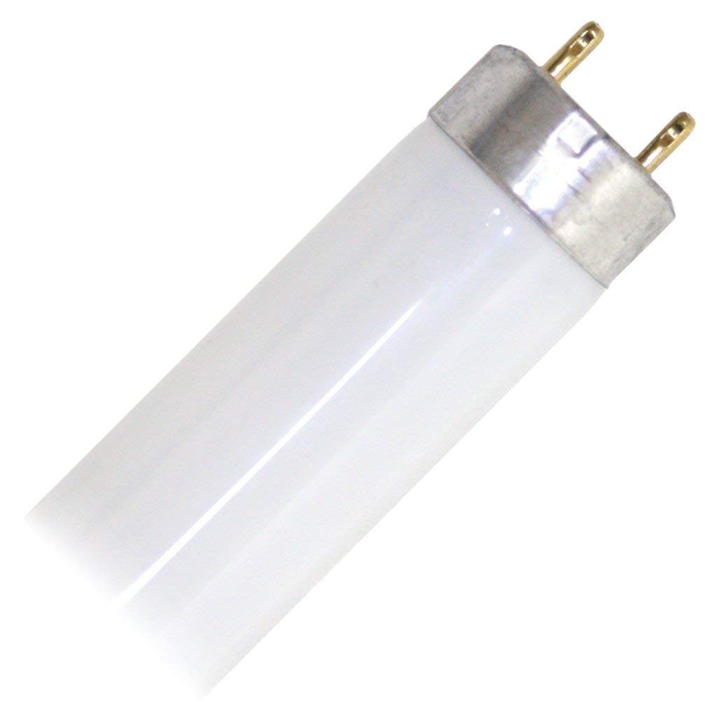 Eiko 12-Pack 15W T8 Fluorescent Tube Bulbs, 4100K Cool White, Medium Bi-Pin