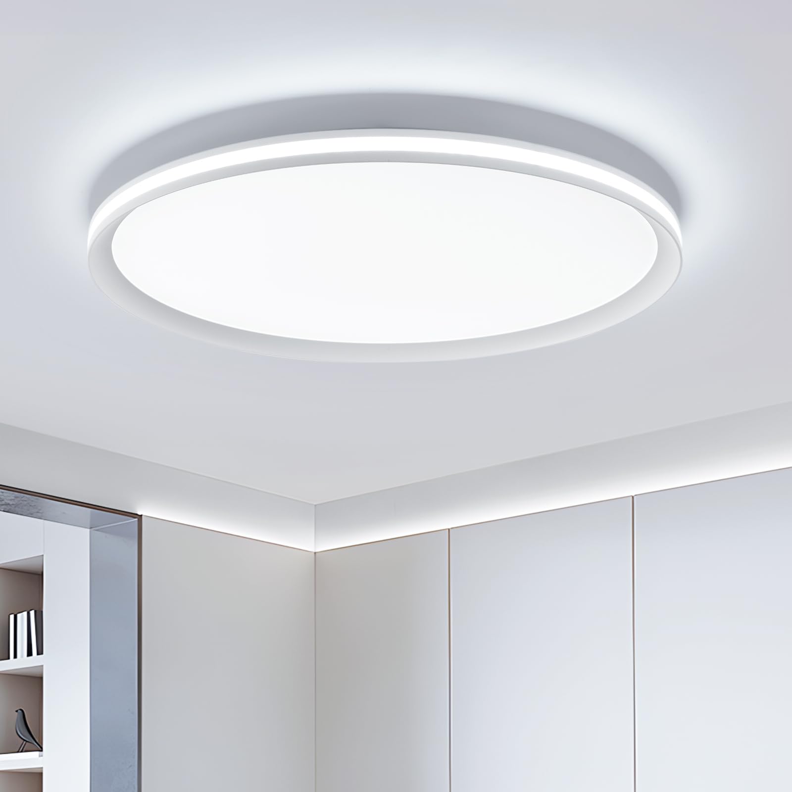 Naroume Metal LED Ceiling Light,Slim, Edge Lit - 45W Full Spectrum Round Ceiling Lamps,6500K Cool White Modern Ultra Thin Low Pr