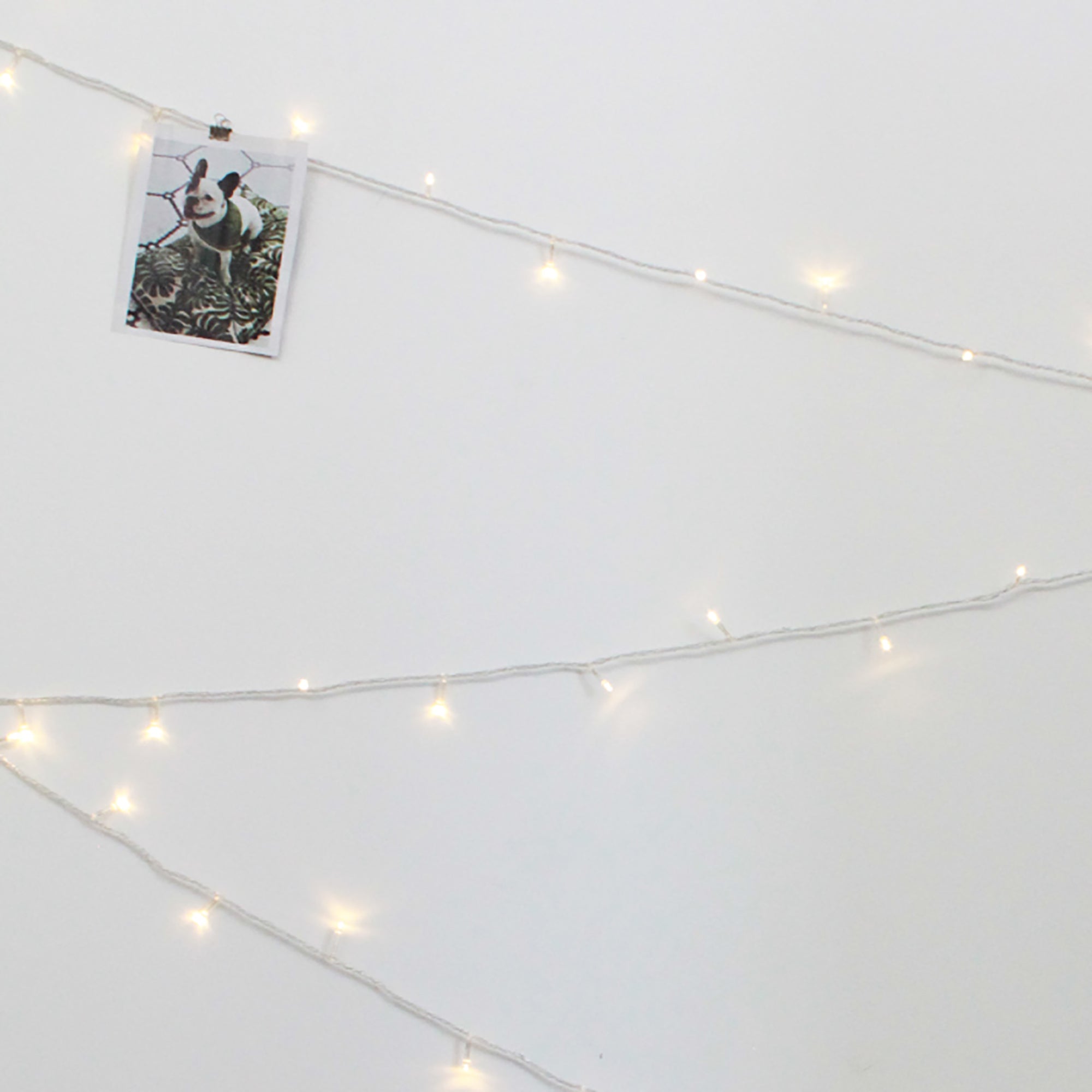 40 LED Clear Cable String Lights - Battery Operated