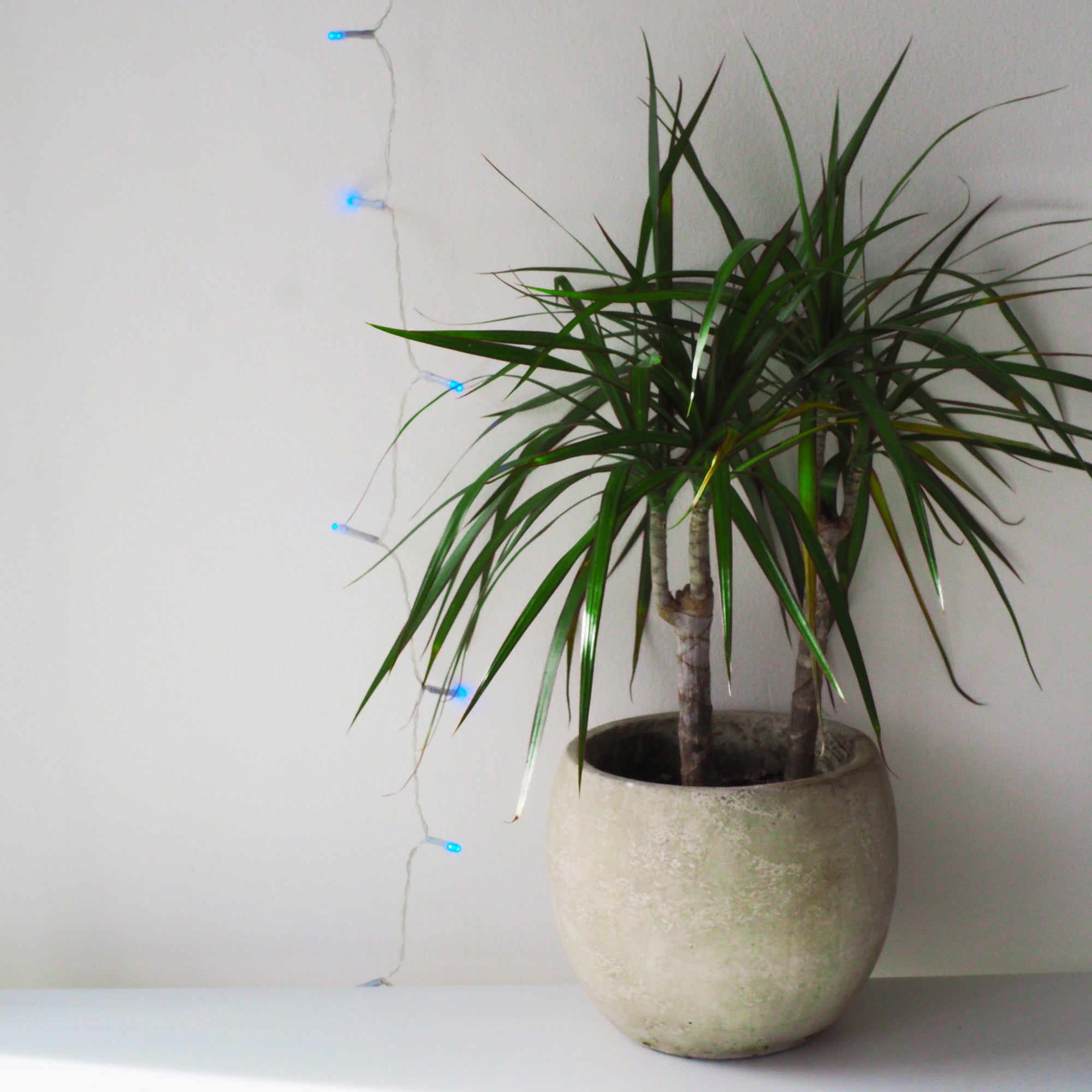 40 LED Clear Cable String Lights - Battery Operated