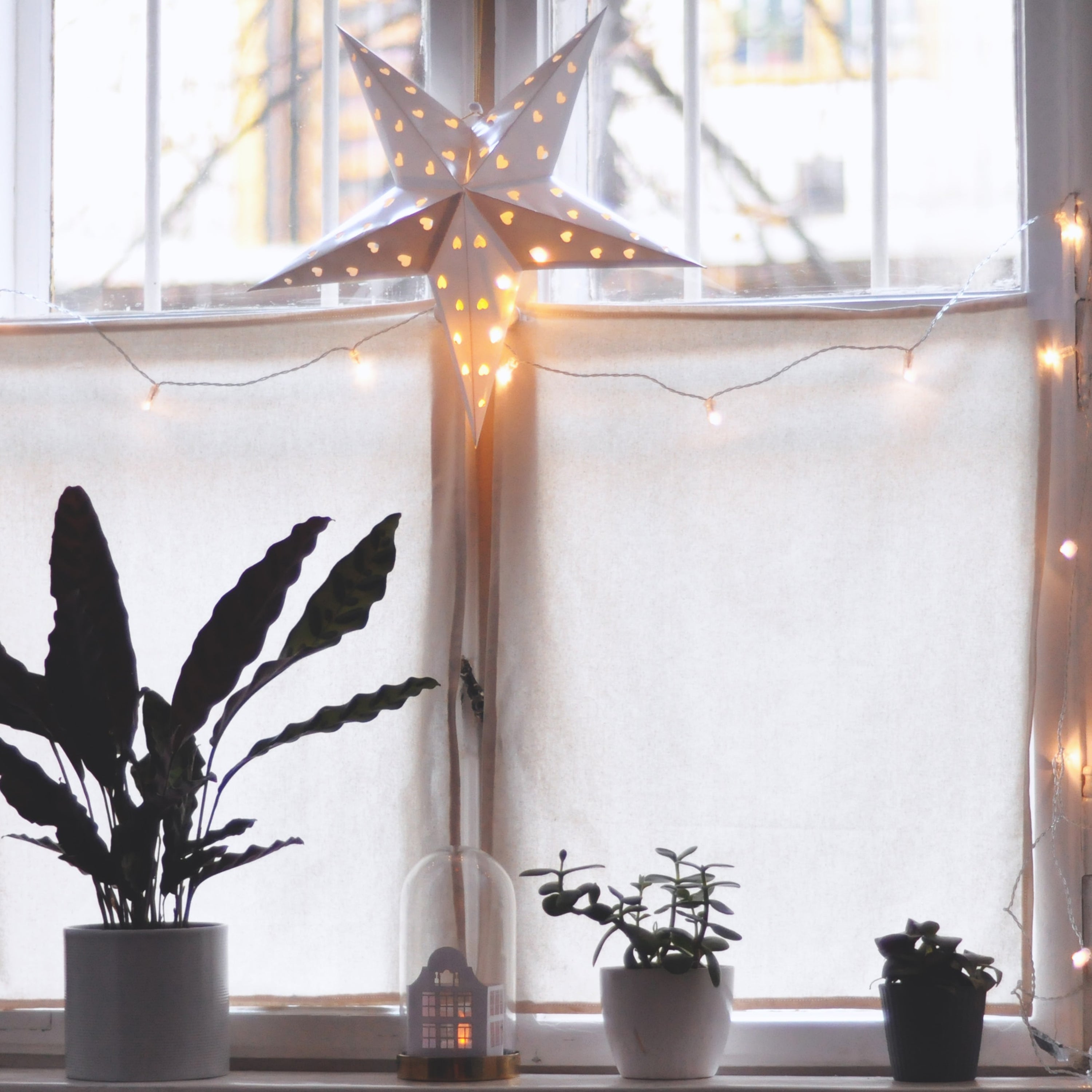 20 LED Clear Cable String Lights - Battery Operated