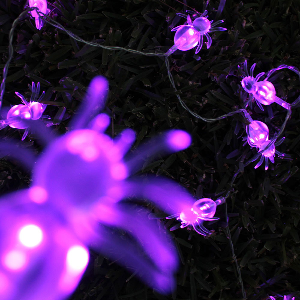 10 LED String Light Spider Battery Operated - White LED Purple Spider